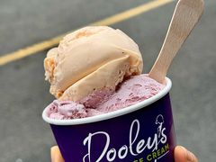 tropical-Dooley's Premium Ice Cream