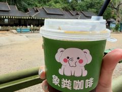 -野象谷景区