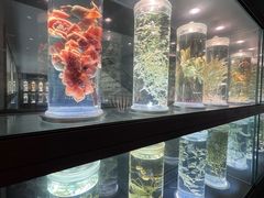 -广东中医药博物馆