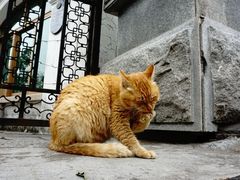 -鼓浪屿风景名胜区-英国领事馆旧址