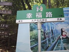 -大芦花风景区
