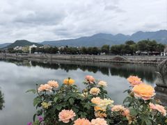 -溪口-滕头旅游景区