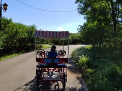 -永定河休闲森林公园