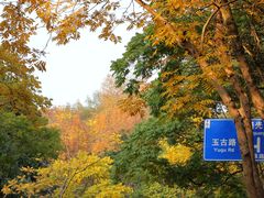 -杭州植物园
