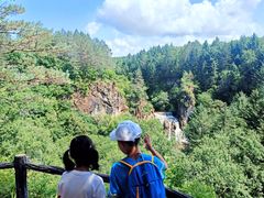 -五营红松林海景区