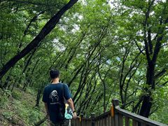 -帽儿山国家森林公园