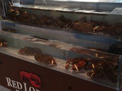 -RED LOBSTER(环球影城大阪店)