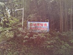 -素山寺森林公园