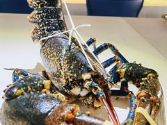 -The V泽惟·低温慢煮料理
