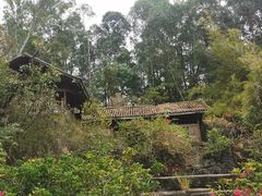 -深圳国际园林花卉博览园