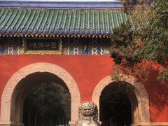 -灵谷景区