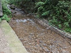-龙坞茶村