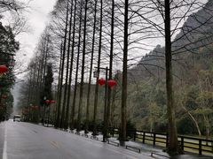 -青城山