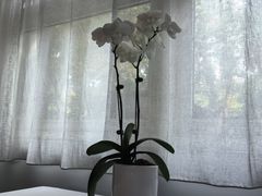 -京兆尹(雍和宫店)