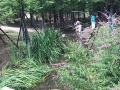 -白水寺森林公园