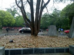 -N多寿司(万尚城店)