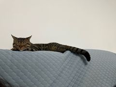 -美迦爱-牙专科·兔科·骨科诊疗中心(北苑店)