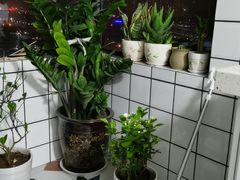 -秦美花卉(天朗·莱茵小城2期店)