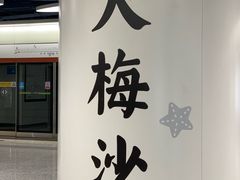 -大梅沙海滨公园