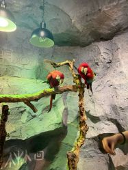 -Zoolung Zoolung动物主题公园(海信广场店)