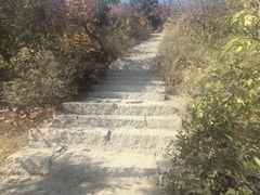 -北京西山国家森林公园