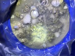 -红树林天天赶海