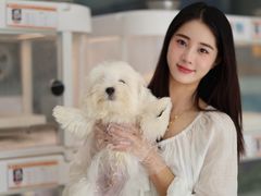 -翊宠yipet猫狗购宠庄园犬舍•猫舍