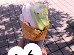 -西南政法大学-学生1食堂