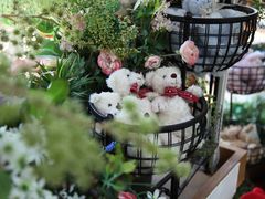 -济州岛泰迪熊博物馆