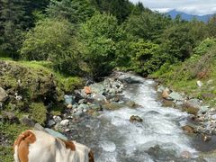 -硗碛藏寨·神木垒景区
