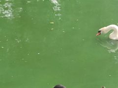 -沈阳森林动物园