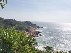 -广东惠东海龟国家级自然保护区