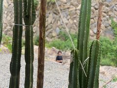 -MOJ coffee(瓯海泽雅水碓坑店)