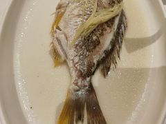 -花城苑广府菜(侨鑫店)