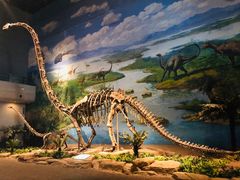 -自贡恐龙博物馆