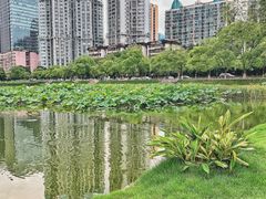 -西北湖绿化广场