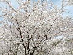 -贵阳市花溪国家城市湿地公园
