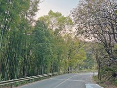 -红山村
