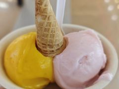 -极拉图·现制冰淇淋(大卫城店)