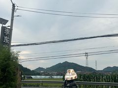 -李东农庄(中南百草园地标店)