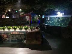 -石家庄海洋公园