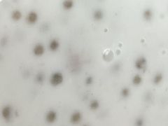 -钟姨糖水(惠城店)
