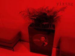 -Yestar杭州艺星医疗美容医院