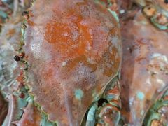 -大清花饺子城(昌黎店)