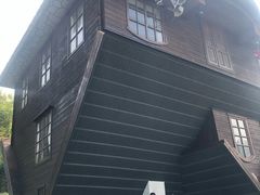 -金山农民画村-枫泾波兰倒置屋