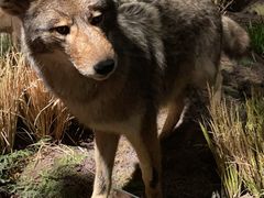 -陕西自然博物馆