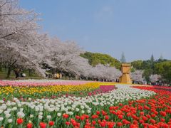 -苏州上方山国家森林公园