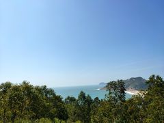 -广东惠东海龟国家级自然保护区