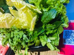 娃娃菜-彤德莱火锅(乐陵路店)