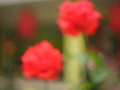 -人民公园(罗湖区)